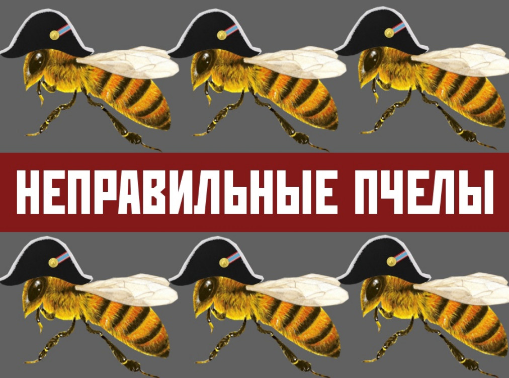 неправильные пчелы